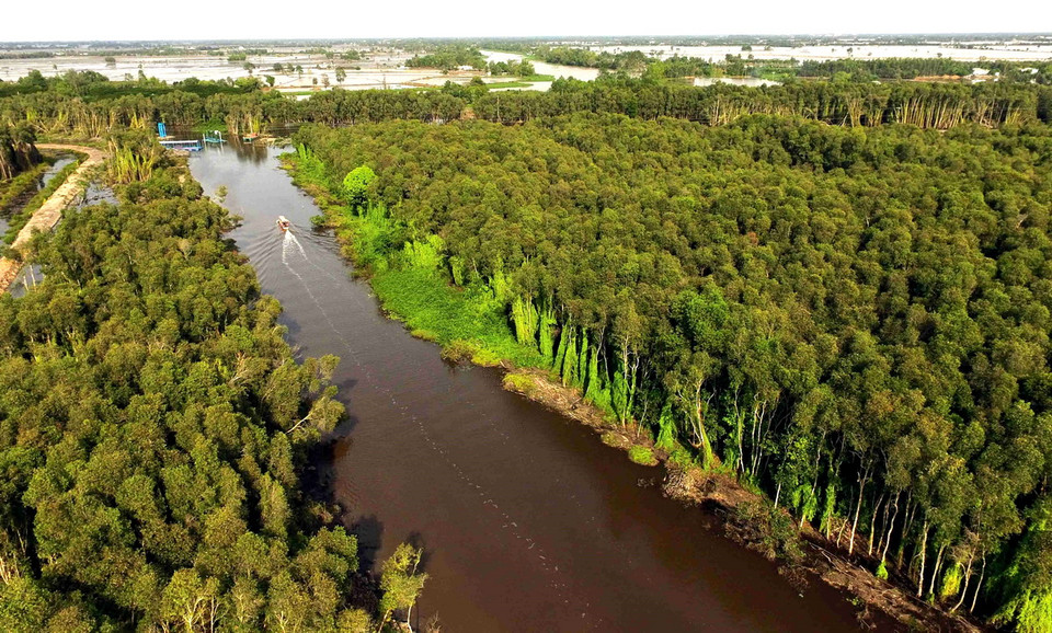 Khu du lịch làng nổi Tân Lập gồm: rừng tràm, sen, súng, lục bình… (Ảnh: An Hiếu/TTXVN)