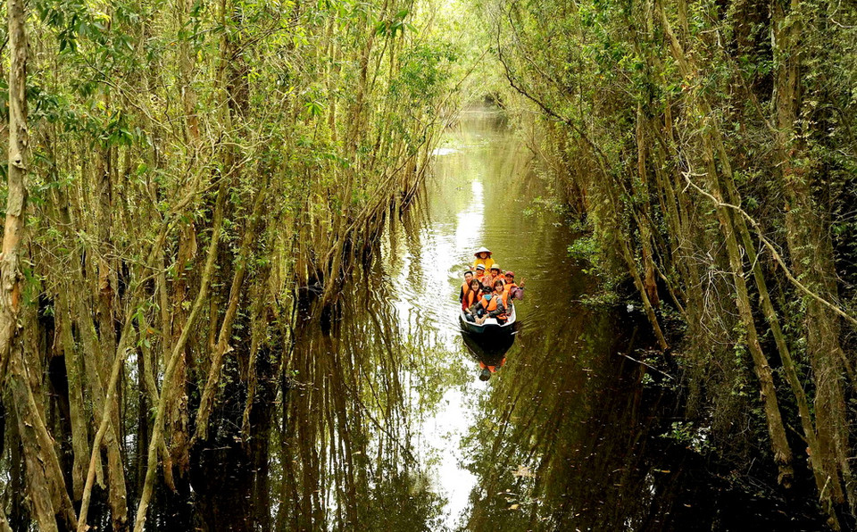 Du khách tham quan rừng tràm ngập nước tại khu du lịch làng nổi Tân Lập. (Ảnh: An Hiếu/TTXVN)