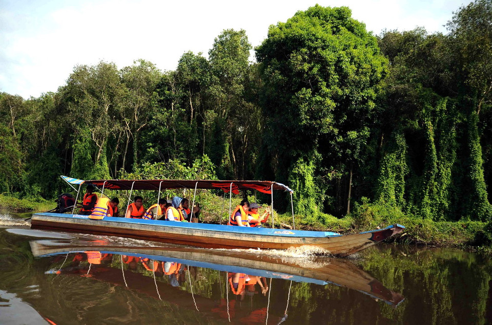 Du khách tham quan rừng tràm ngập nước tại khu du lịch làng nổi Tân Lập. (Ảnh: An Hiếu/TTXVN)