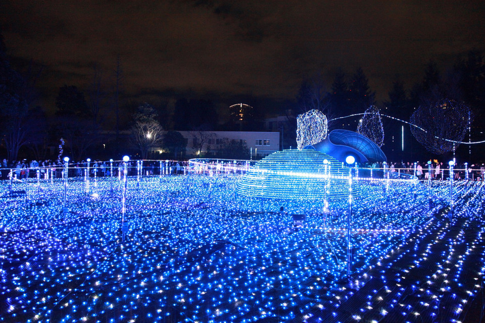 Lễ hội ánh sáng Tokyo 2015 - Rực rỡ đêm Tokyo Midtown. (Ảnh: Nguyễn Tuyến/Vietnam+)