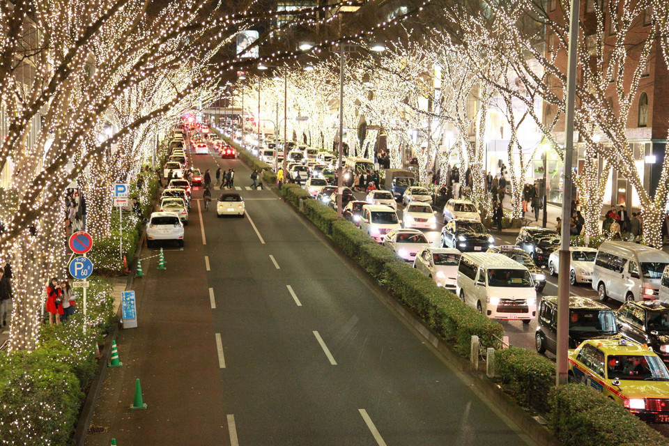 Mỗi dịp Năm mới về, lễ hội ánh sáng với hàng triệu ngọn đèn lấp lánh trong màn đêm đã khiến cho mùa Đông Tokyo trở nên rực rỡ. (Ảnh: Nguyễn Tuyến/Vietnam+)