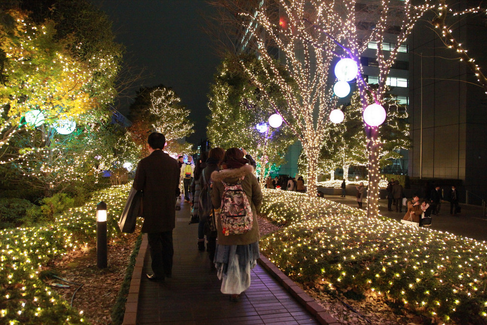 Lễ hội ánh sáng tại khu vực Terrace Shinjku năm 2015 với chủ đề "Sự biến hóa" diễn ra từ 17 giờ đến 24 giờ trong thời gian từ ngày 11/11/2015 đến ngày 14/12/2016. (Ảnh: Nguyễn Tuyến/Vietnam+)