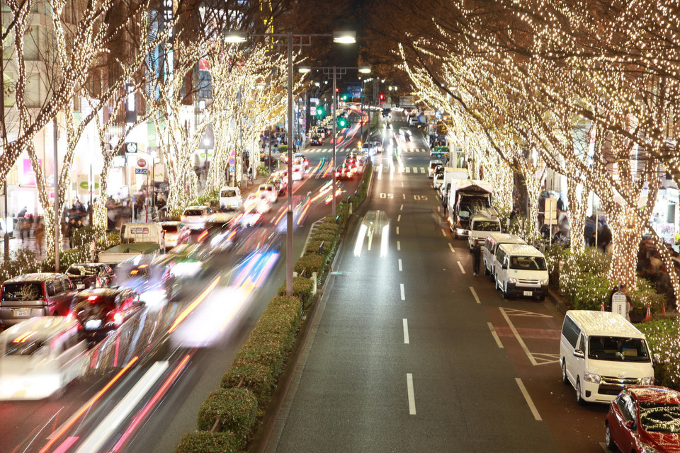 Với chủ đề Khu vườn Dạ tiệc, lễ hội ánh sáng tại đường phố Omotesando với hai hàng cây được gắn hàng triệu bóng đèn màu diễn ra từ ngày 5/11 đến 25/12.(Ảnh: Nguyễn Tuyến/Vietnam+)