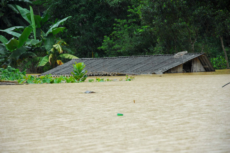 Nhà cửa, phần lớn tài sản, diện tích hoa màu, chuồng trại chăn nuôi, ao cá bị ngập trong nước lũ. (Ảnh: Xuân Tư/TTXVN)