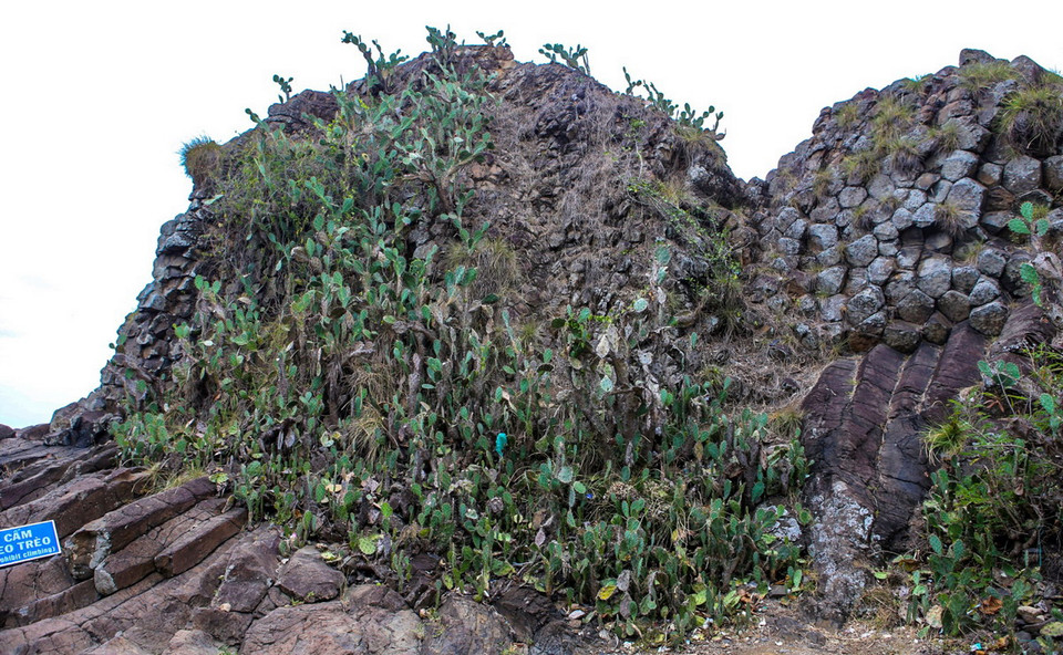 Di tích thắng cảnh này nằm tại xã An Ninh Đông, huyện Tuy An, tỉnh Phú Yên. (Nguồn: TTXVN)