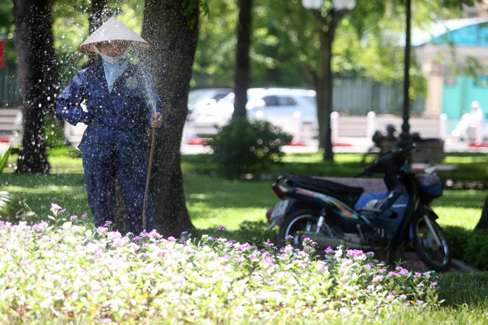  Chăm sóc cây trong công viên những ngày nắng nóng. (Ảnh: Minh Quyết/Vietnam+)