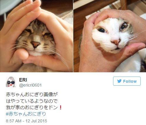 Thậm chí, nhiều người khác còn làm hành động đáng yêu này trên cả thú cưng, bạn bè và chính bản thân mình. (Nguồn: CCTVNews) 