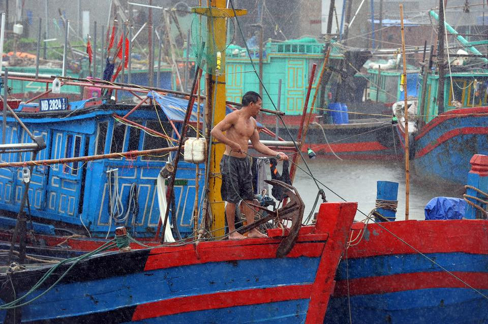 Ngư dân đang khẩn trương neo đậu tàu bè để tránh bão (Nguồn: Vietnam+)