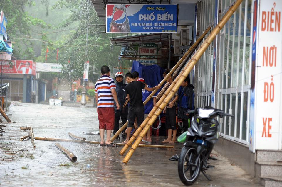 Các biện pháp chống đỡ bằng thanh tre dài cũng được sử dụng (Nguồn: Vietnam+)