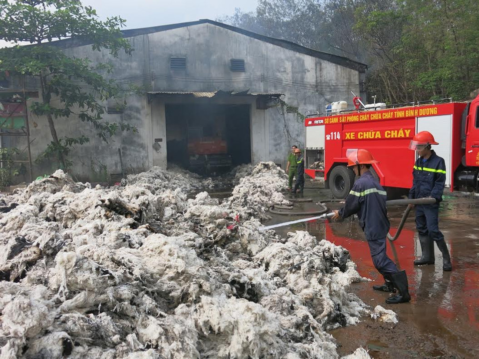 (Ảnh: Chí Tưởng-Hải Âu/Vietnam+)