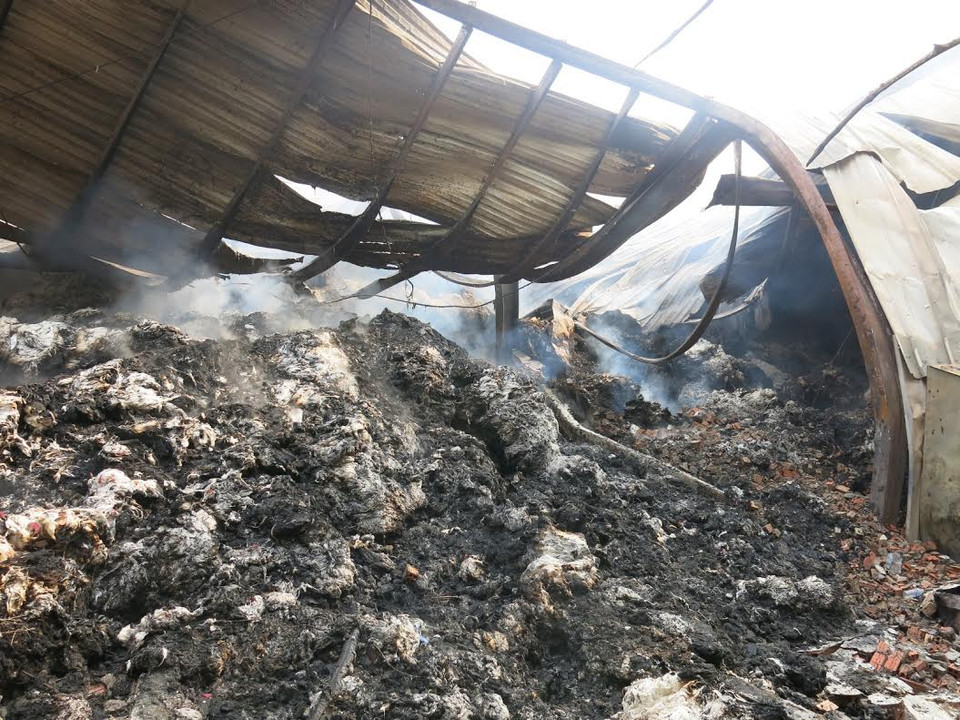 (Ảnh: Chí Tưởng-Hải Âu/Vietnam+)