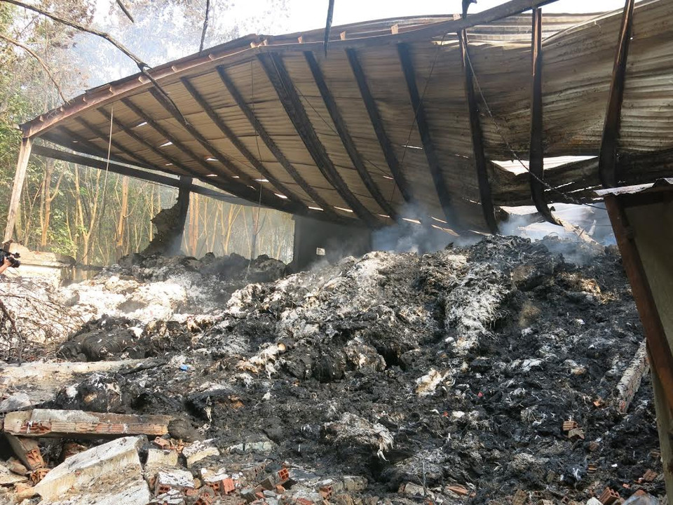 (Ảnh: Chí Tưởng-Hải Âu/Vietnam+)