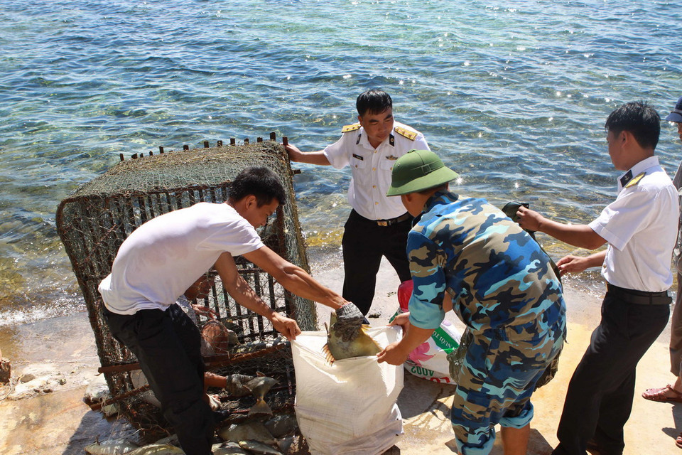 Chiến sỹ đảo Thuyền Chài B, hăng hái tăng gia sản xuất. (Ảnh: Minh Quyết/TTXVN)