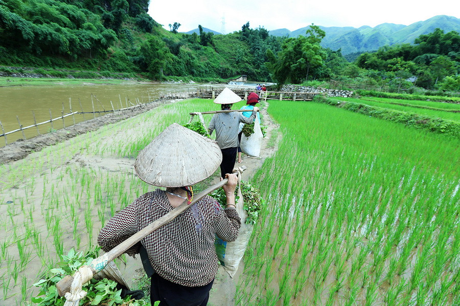 Con đường mòn đi ra nơi vượt suối bằng bè mảng. (Ảnh: Phan Tuấn Anh/TTXVN)