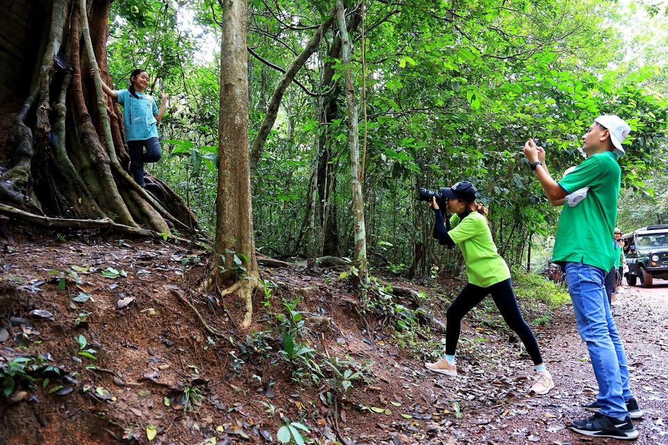 Check-in giữa rừng nhiệt đới Mã Đà. (Ảnh: Hồng Đạt/TTXVN)