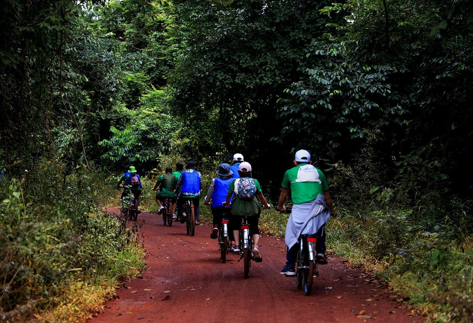 Rừng nhiệt đới Mã Đà nằm trong Khu Bảo tồn thiên nhiên văn hóa Đồng Nai là khu rừng có hệ sinh thái, cảnh quan phong phú đa dạng bậc nhất Việt Nam. (Ảnh: Hồng Đạt/TTXVN)
