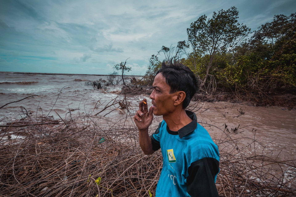 Anh Châu Văn Lo, nhà ở ấp 11, xã Khánh Tiến, huyện U Minh bất lực nhìn rừng phòng hộ phía biển Tây bị sóng đánh tan hoang. (Ảnh: Trọng Đạt/TTXVN)