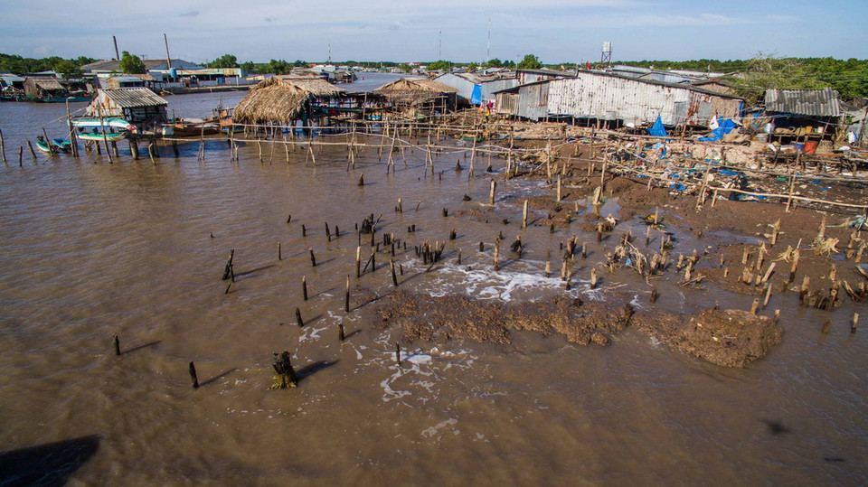  Phía Đông của Đất Mũi đang có sự xâm lấn ngày càng mạnh mẽ của biển vào đất liền. Có nơi bị lùi sâu vào đến 200m trong 5 năm, tức là trung bình bờ biển lùi sâu vào đất liền đến 40m/năm. Cuộc sống của 11 hộ dân ở ấp Kênh Đào Đông, xã Đất Mũi, huyện Ngọc Hiển đang thực sự khó khăn và bị đe dọa nghiêm trọng đến tính mạng và sinh hoạt mỗi ngày. (Ảnh: Trọng Đạt/TTXVN)