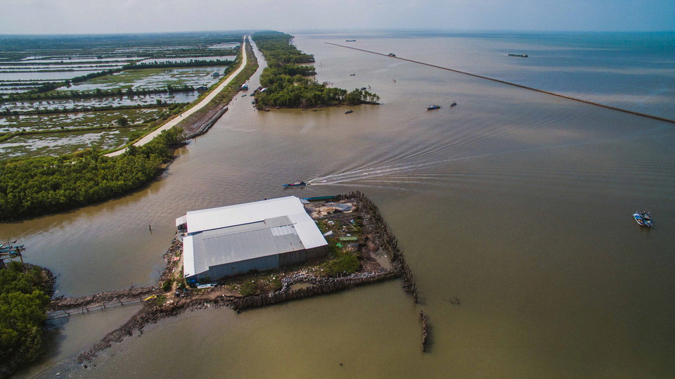 Theo khảo sát của các nhà khoa học và cơ quan chức năng tỉnh Cà Mau, từ năm 2007 đến nay, khoảng 80% đường bờ biển Cà Mau bị sạt lở. Bình quân mỗi năm, biển lấn sâu vào khoảng 15m, có nơi đến 50m; 300ha rừng phòng hộ bị cuốn ra biển mỗi năm. (Ảnh: Trọng Đạt/TTXVN)