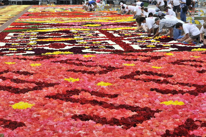 Các tình nguyện viên hoàn thiện tấm thảm hoa khổng lồ trên quảng trường Grand-Place. (Nguồn: AFP/TTXVN)