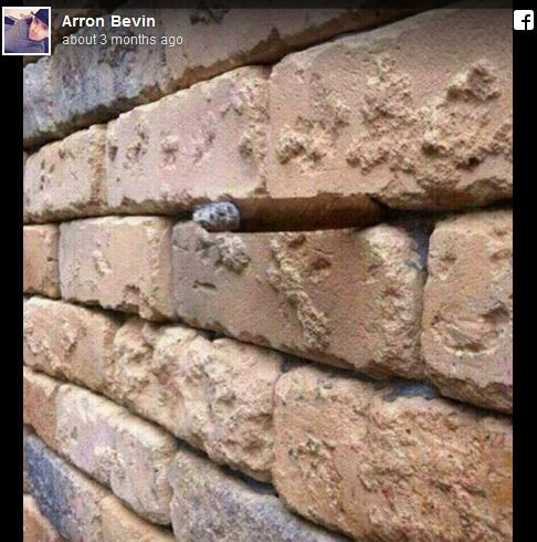 Hãy tìm điểm khác biệt trên bức tường. (Nguồn: telegraph.co.uk)