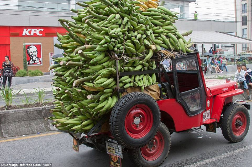 Guitar, toilet và thậm chí là thú cưng đều có thể trở thành những vật trang trí trên xe, đồng thời thể hiện sự thịnh vượng của gia đình đó. (Nguồn: CCTVNews)