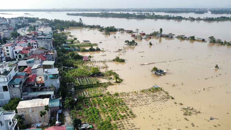 Cánh đồng làng đào hiện vẫn đang chìm trong biển nước dù mực nước đang hạ dần (ảnh chụp chiều 12/9). (Ảnh: Hoàng Hiếu/TTXVN)