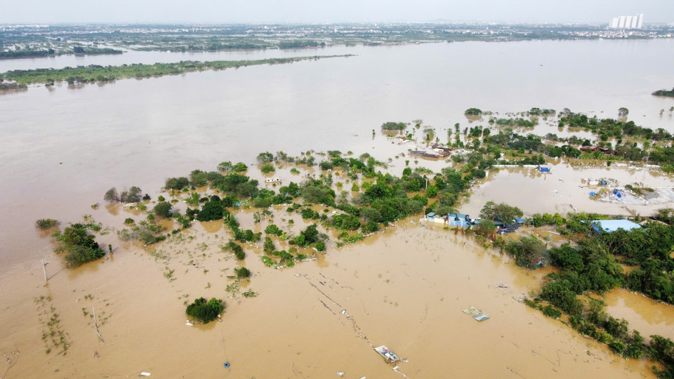 Biển nước mênh mông nơi cánh đồng đào làng đào Nhật Tân-Phú Thượng. (Ảnh: Hoàng Hiếu/TTXVN)