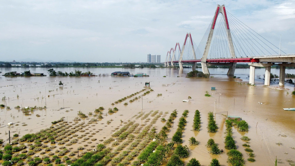Cánh đồng làng đào hiện vẫn đang chìm trong biển nước dù mực nước đang hạ dần. (Ảnh: Hoàng Hiếu/TTXVN)
