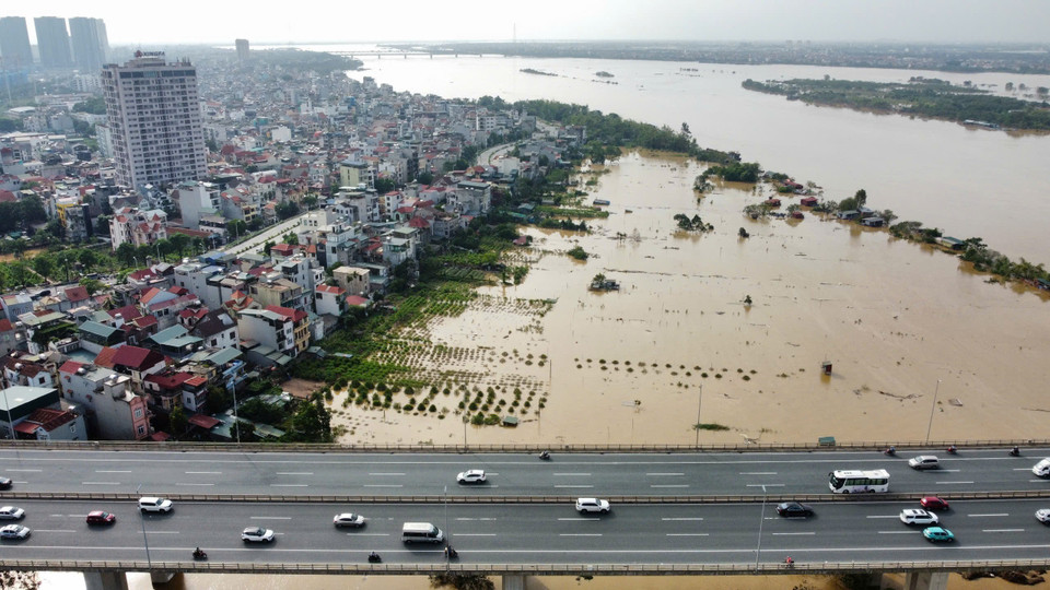 Làng đào Nhật Tân và Phú Thượng vẫn đang chìm trong nước. (Ảnh: Hoàng Hiếu/TTXVN)