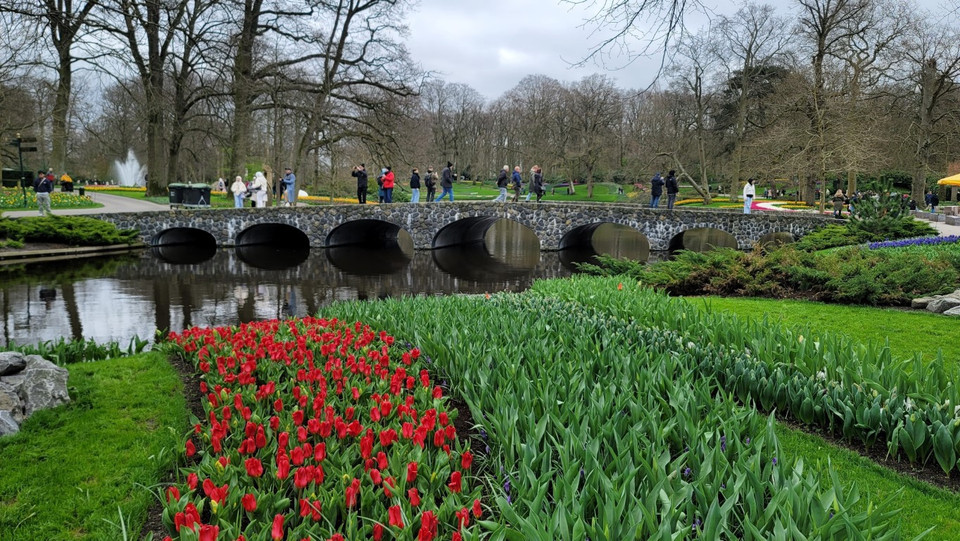 Hàng trăm nghìn du khách đến chiêm ngưỡng vườn hoa tulip ở Tây Nam Thủ đô Amsterdam. (Ảnh: THX/TTXVN)