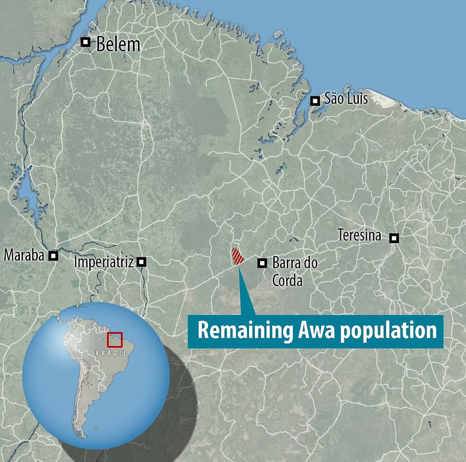 Nơi bộ lạc Awa sinh sống. (Nguồn: Dailymail)