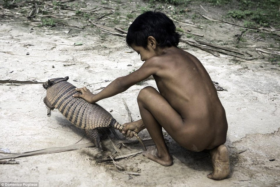 Bộ lạc này hầu như không giao tiếp với thế giới bên ngoài, hiện nay, bộ lạc Awa đang có nguy cơ biến mất do yếu tố bên ngoài như phá rừng để xây dựng của thế giới văn minh. (Nguồn: Dailymail)