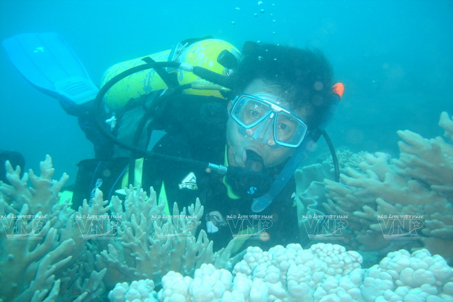 Du khách lặn ngắm san hô. (Ảnh: Tư liệu Vườn Quốc gia Côn Đảo)
