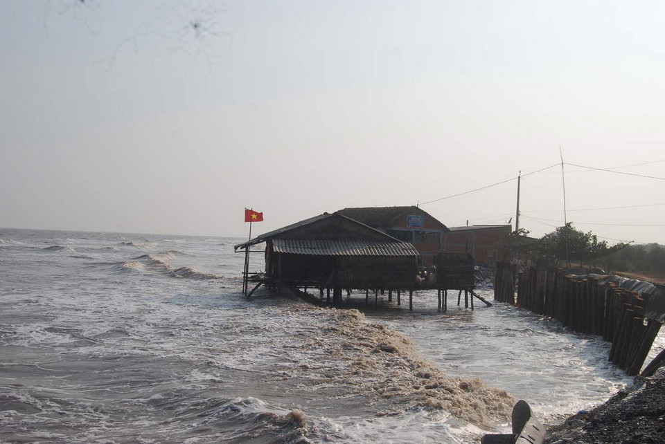 Ngôi nhà của đội bảo vệ bãi nghêu HTX Thủy sản Bảo Thuận trông như một "nhà giàn" vì nằm cách xa đường giao thông. (Ảnh: Văn Trí/TTXVN) 