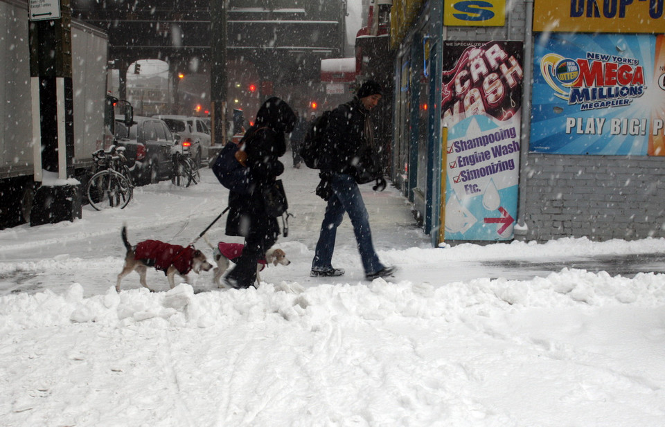 Tuyết phủ trắng thành phố New York ngày 26/1. (Nguồn: THX/TTXVN)