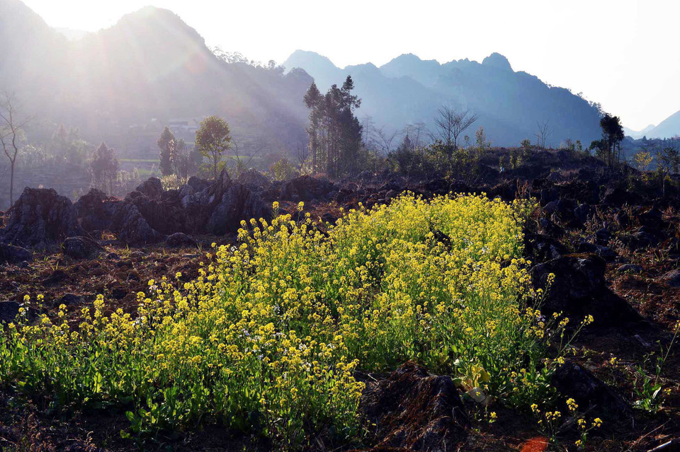 Vẻ đẹp hoang sơ khi chiều buông trên cao nguyên Đồng Văn. (Ảnh: Thanh Hà/TTXVN)