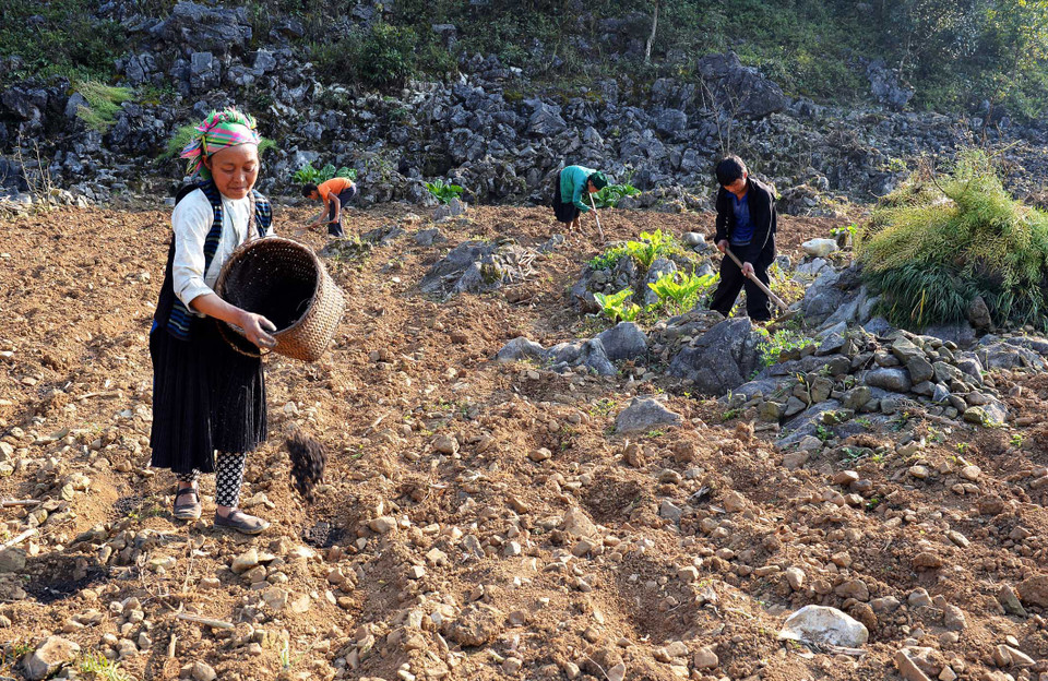 Làm đất chuẩn bị cho vụ trồng trọt mới. (Ảnh: Thanh Hà/TTXVN)