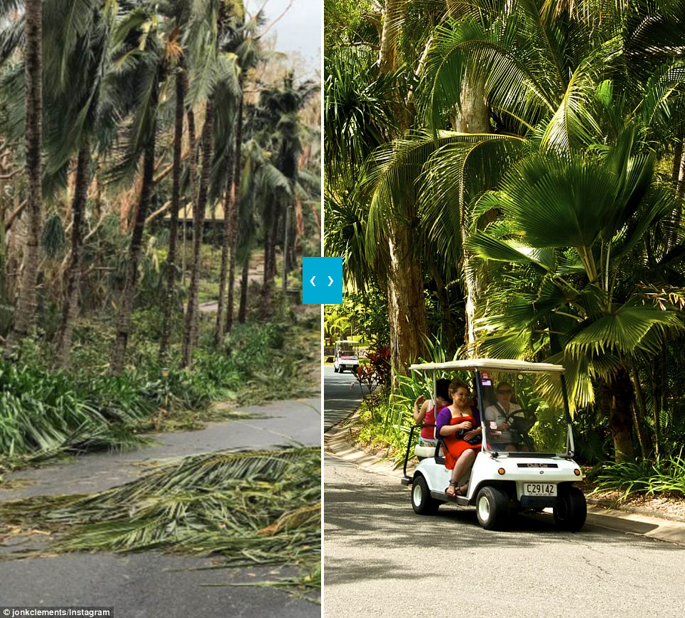 Cây cối ngả rạp trên đường trong một khu resort. (Nguồn: Dailymail)