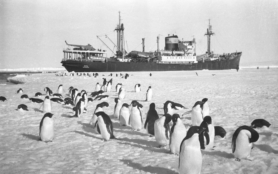 Phía sau những chú Chim cánh cụt là tàu diesel Ob của một đoàn thám hiểm Nam Cực thuộc Liên Xô tại Vịnh Depot. (Nguồn: sputniknews)