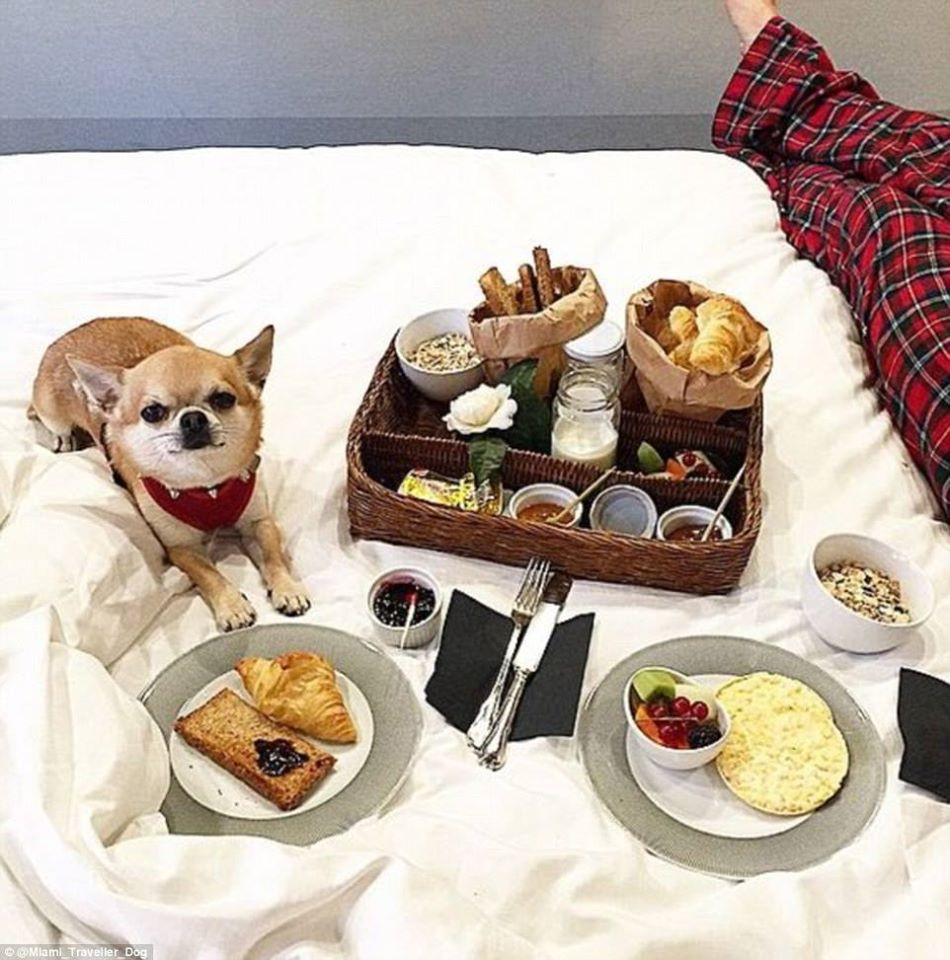 ​(Nguồn: CCTVNews)