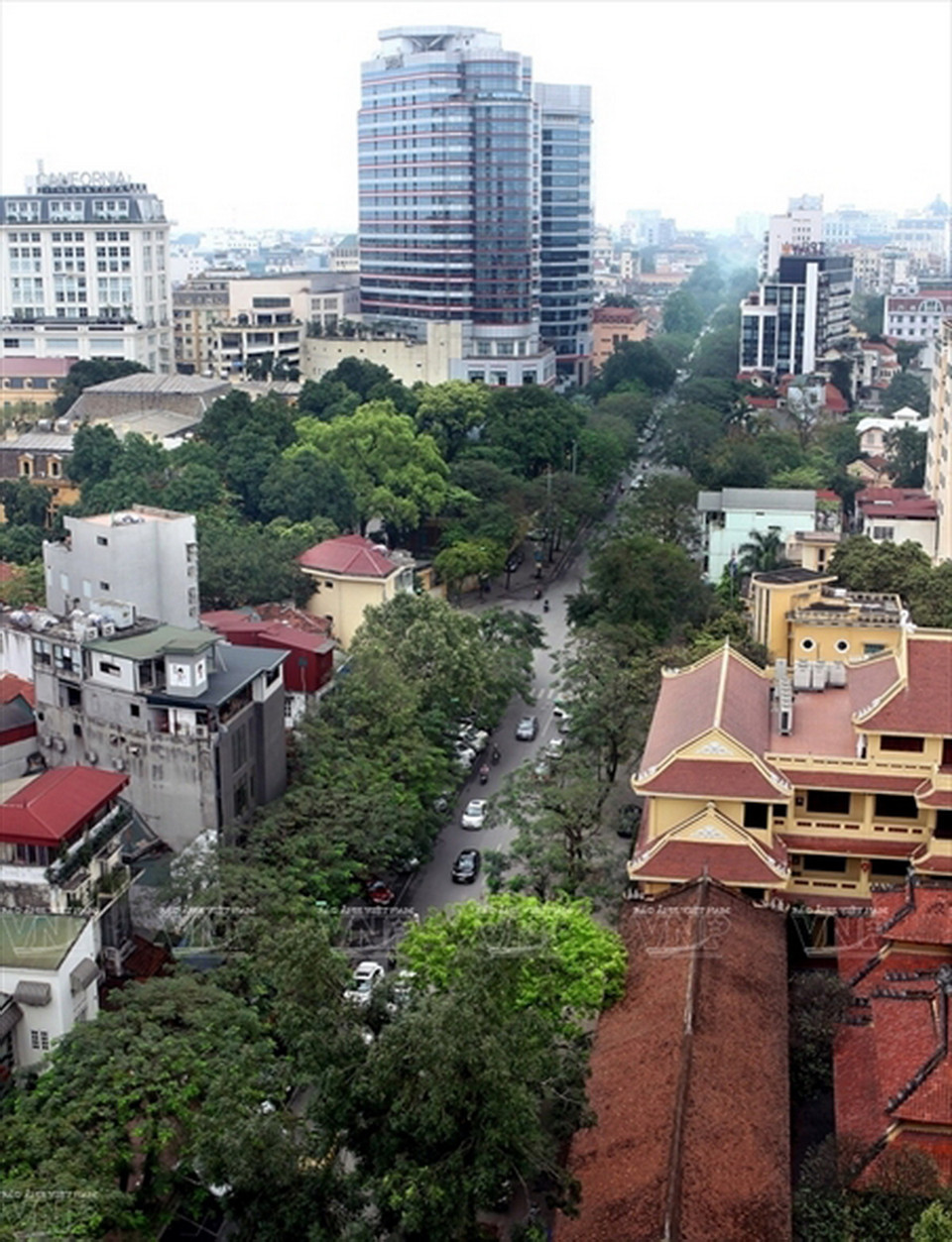 Dãy phố Lý Thường Kiệt rợp bóng cây sấu cổ thụ.
