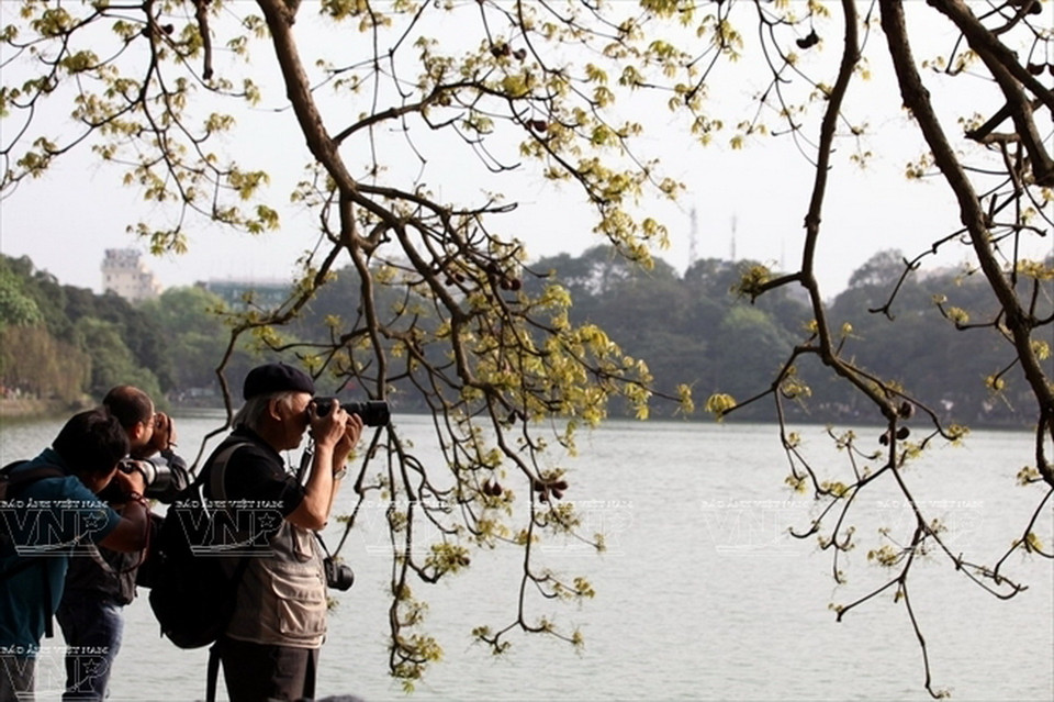 Vào những dịp cuối xuân khi những chồi non mới nhú, những người yêu nhiếp ảnh lại tới Hồ Gươm để ghi lại những hình ảnh ấn tượng của mùa Xuân.