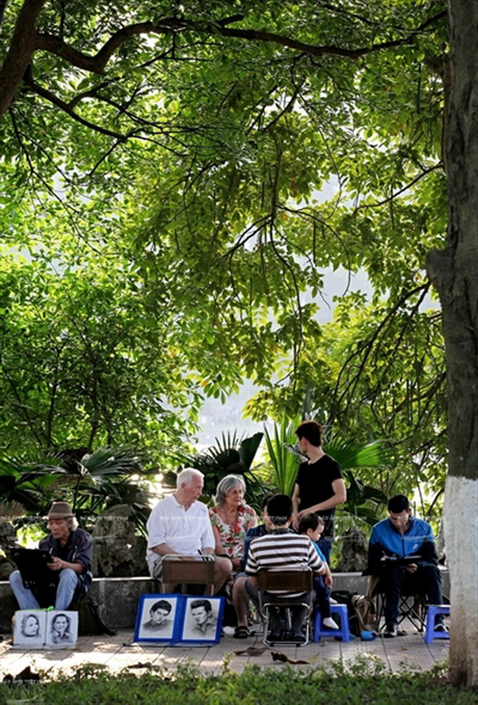 Các họa sỹ ký họa dưới những tán cây xanh mướt.