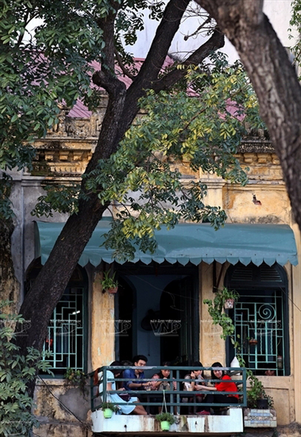 Một góc kiến trúc của Hà Nội dưới tán cây xanh mát. 