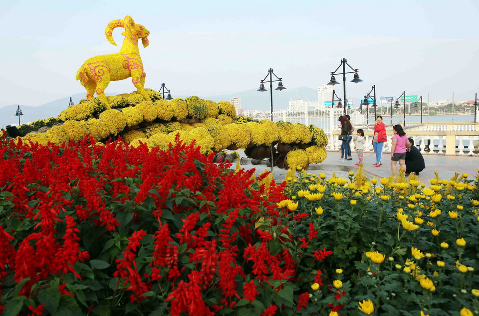 Một góc đường hoa xuân Đà Nẵng. (Ảnh: Trần Lê Lâm/TTXVN) 