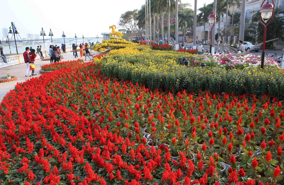 Một góc đường hoa xuân Đà Nẵng. (Ảnh: Trần Lê Lâm/TTXVN) 