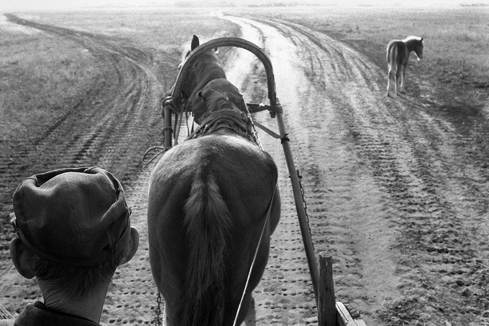 Một con người đàn ông cưỡi ngựa tới ngã ba đường tại làng Senshin, huyện Oblivskaya, khu vực Rostov-on-Don, Nga. Bức ảnh chụp vào tháng 10 năm 2010. (Nguồn: sputniknews)