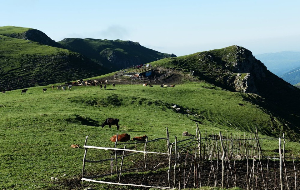Một đồng cỏ ở vùng núi gần làng Benoi, quận Nozhay-Yurt của nước Cộng hòa Chechnya, Liên bang Nga. (Nguồn: sputniknews)