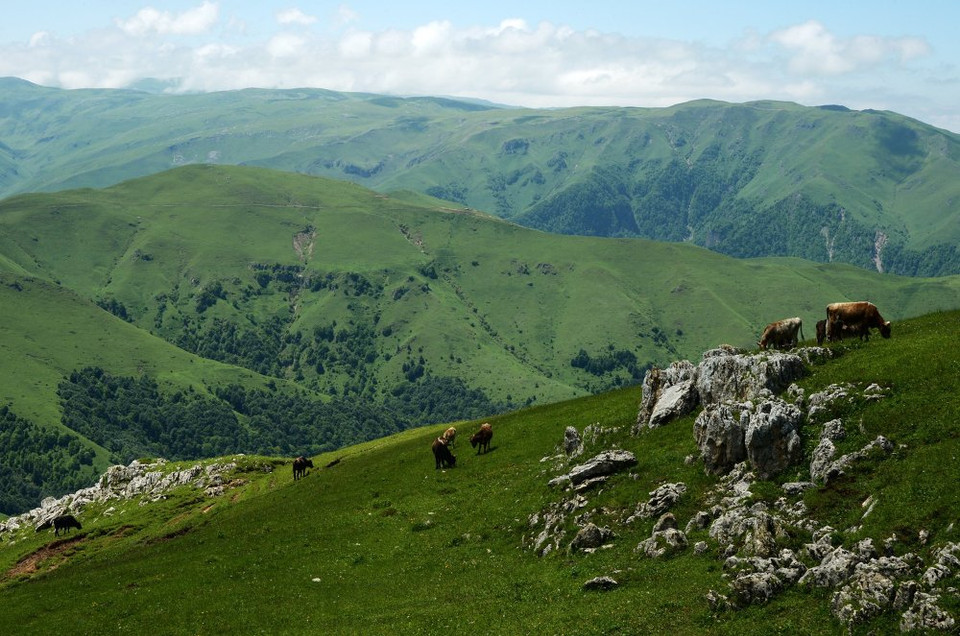Những ngọn núi gần làng Benoi, Cộng hòa Chechnya, Liên bang Nga. (Nguồn: sputniknews)